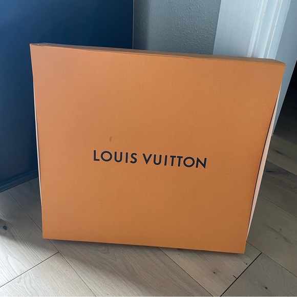 Louis Vuitton Handbags - LOUIS VUITTON large box